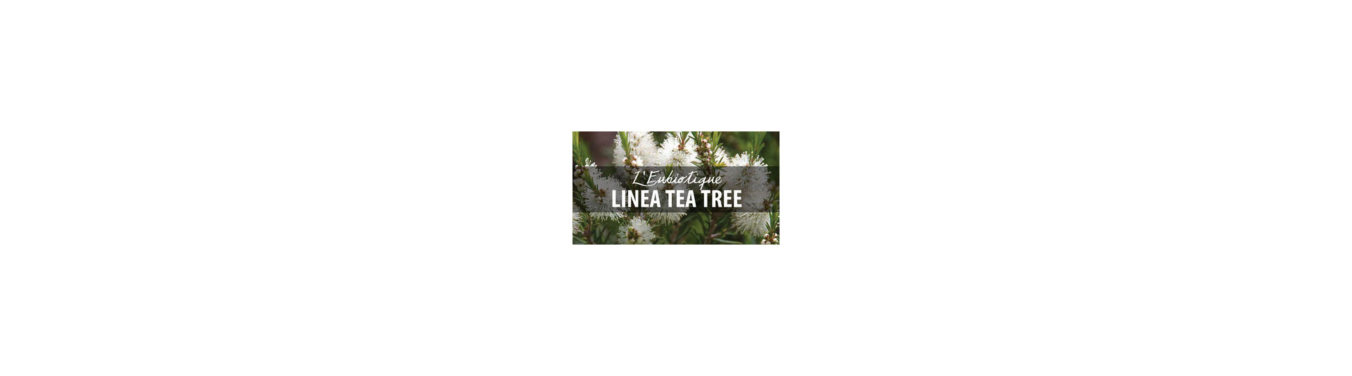 Linea Tea Tree